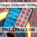 Viagra Sildenafil 100Mg new14